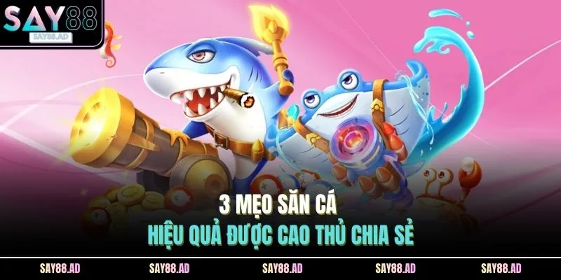 3 mẹo săn cá hiệu quả được cao thủ chia sẻ