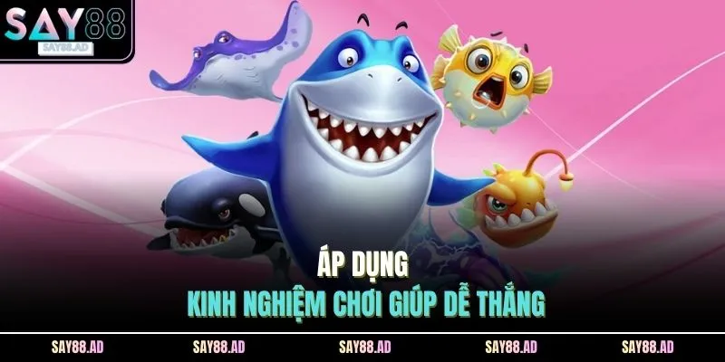 Áp dụng kinh nghiệm chơi giúp dễ thắng