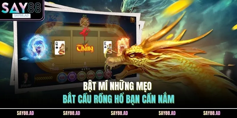 Bật mí những mẹo bắt cầu rồng hổ bạn cần nắm