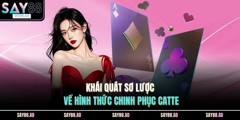Cách Chơi Catte SAY88 - 5 Yếu Tố Chiến Thuật, Suy Luận Cao 2 Khái quát sơ lược về hình thức chinh phục catte